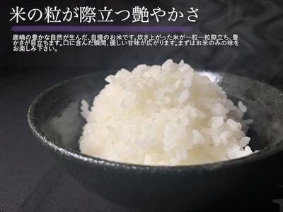 米 こしひかり 10kg 令和7年度産 特別栽培米 米