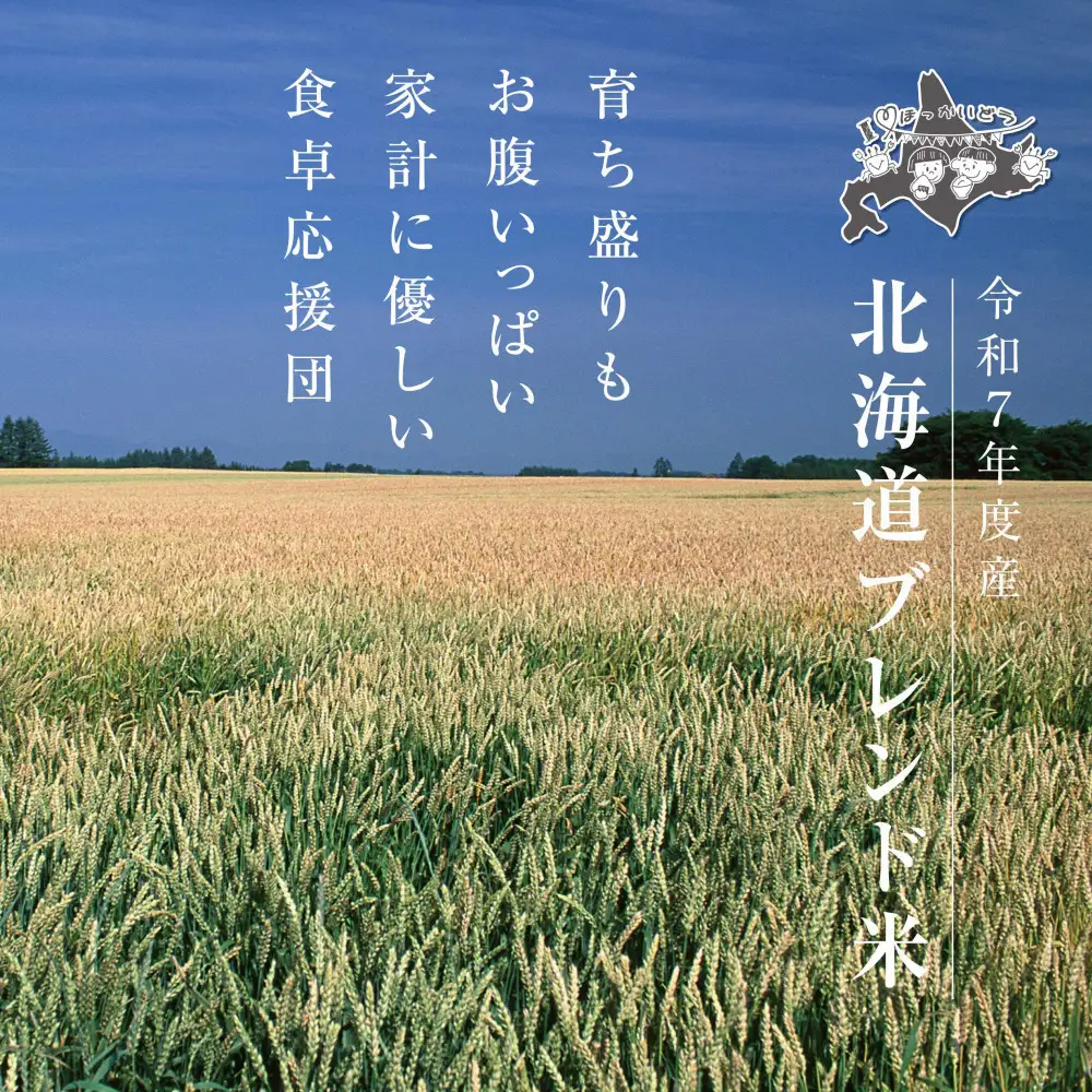 令和7年産 北海道ブレンド米 (3kg)  ブレンド米 _05312