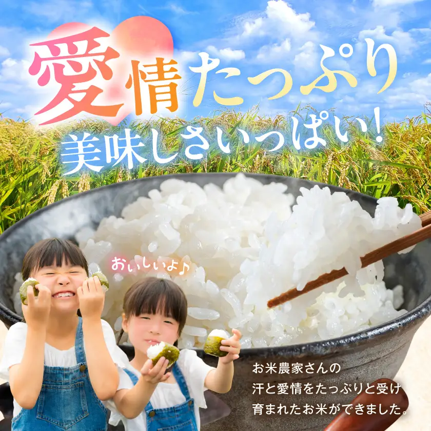 都城産米と国産米ブレンド 15kg≪みやこんじょ特急便≫_AE-33-001-15kg-Q_(都城市) お米 国産ブレンド米 15kg 精米