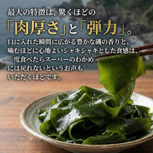 塩蔵わかめ 1kg (250g×4パック)