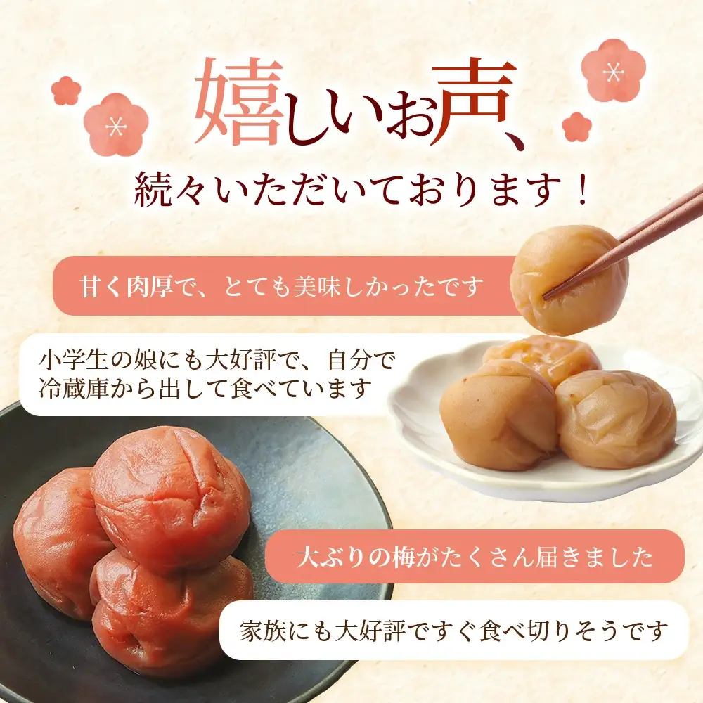  大粒 しそ漬け梅 & はちみつ漬け 食べ比べセット 各400g  塩分10％ 塩分8% / お歳暮 紀州南高梅 訳ありでない 梅干 うめぼし 南高梅 しそ梅 はちみつ はちみつ漬け シソ 紫蘇 国産 梅 うめ ウメ ご飯 和歌山県 田辺市 前田農園 お中元 お歳暮 贈答用 【mae005】