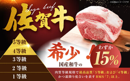 【全6回定期便】佐賀牛 肩ロース（しゃぶしゃぶ・すき焼き用）500g[HDH015]
