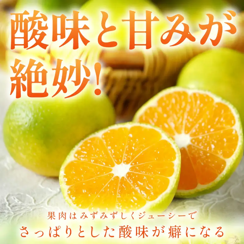 【0258-5】極早生みかん 10kg 和歌山産
