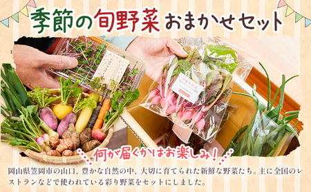 季節の旬野菜 おまかせセット 6種【配送不可地域あり】野菜