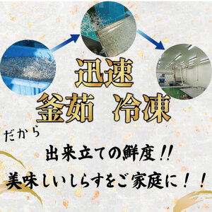 釜揚げ しらす 250g 冷凍 鮮度 産地直送 しらす丼 海鮮 海鮮丼 魚介 魚
