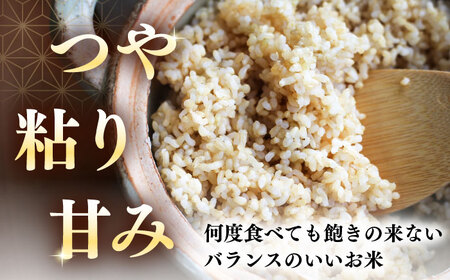 【全2回定期便】【玄米】ななつぼし さくら米 10kg  特A 北海道[AXAB079]