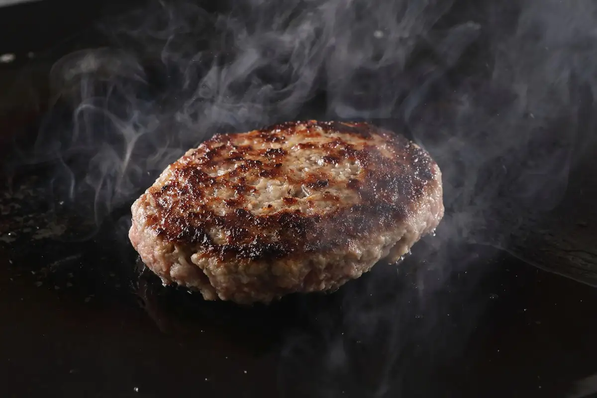 博多和牛手ごね生ハンバーグ(120g×15個)【宗像肉工房】_HA1976