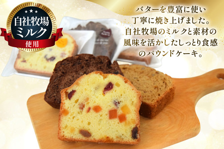 パウンドケーキ 10個 セット 5種 各2個 [岩瀬牧場 北海道 砂川市 12260960]