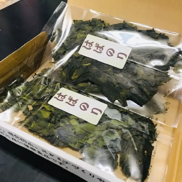 【久根崎善次郎商店】《訳あり》割れはばのり20g [0012-0076]