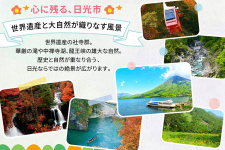 HISふるさと納税宿泊予約専用クーポン (栃木県日光市) 9千円分｜旅行 観光 温泉 鬼怒川 川治 湯西川 高級 宿泊 ホテル クーポン トラベルクーポン 電子クーポン チケット 記念日 お祝い 出張 日光市 栃木県 [0883]