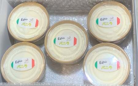 【極上バニラビーンズの香り】 至福の口どけ ＂大人のバニラアイス＂ 5個 アイス バニラアイス アイスクリーム スイーツ お菓子 洋菓子 デザート 詰め合わせ 冷凍 福岡県 香春町 九州