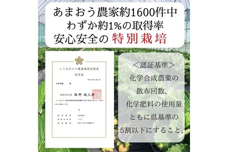 【先行予約受付中】【2026年12月以降順次発送】特別栽培あまおう2パック(サイズミックス)【うるう農園】_HA1967