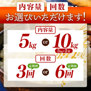 【定期便6回】令和7年産 上郡町からのお米 きぬむすめ5kg×6回 | お米 きぬむすめ 美味しい 国産 兵庫県 上郡町