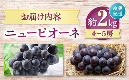 ニューピオーネ【2026年8月中旬から9月中旬にかけて順次発送】ニューピオーネ 4から5房 約2kg 有限会社西山青果　フルーツ 果物 ぶどう ピオーネ[AGAR024]