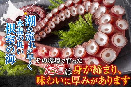 【北海道根室産】お刺身用たこ足2本(計2～2.5kg) C-30069
