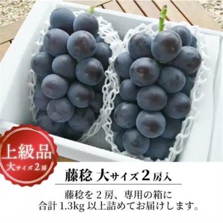 大粒のボッケーネ(藤稔) 大2房/計1.3kg～ (岡山県産) 大粒でジューシーな人気葡萄!【配送不可地域：離島】【1713752】