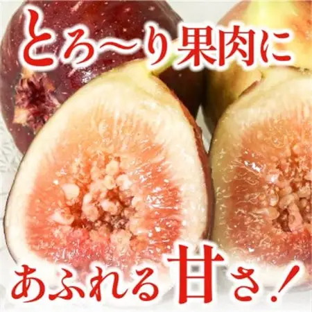 完熟いちじく 約1.7kg (12～32個目安) 5L～Mサイズ【配送不可地域：離島・北海道・沖縄県・東北】【1713246】