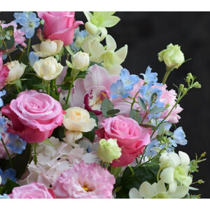 「シ・ベル」 誕生日祝い 結婚 ウエディング 送別 プレゼント 開店祝い 花 結婚祝い 季節 アレンジ フラワー 退職 発表会ギフト 結婚記念日 送料無料 記念日 お祝い