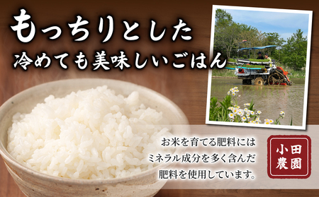 白米8kg（4kg×2袋） 冷めても美味しいコシヒカリ【小田農園】｜最短4〜7日程度でお届け　※着日指定不可