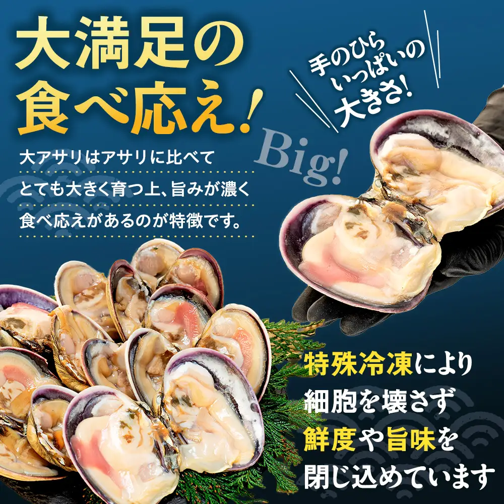 【限定寄附額】 大アサリ 半割 約1kg おおあさり