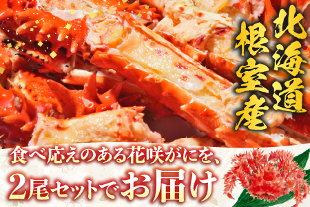 【北海道根室産】花咲かに500g前後～650g前後×2尾 B-36002