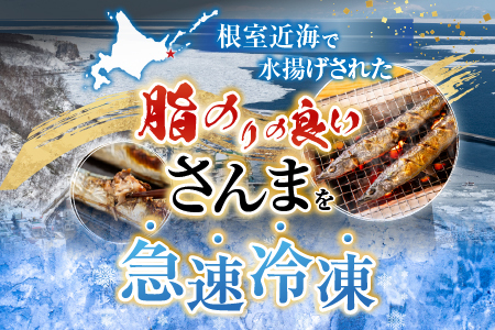 【北海道根室産】冷凍さんま30尾 B-36005