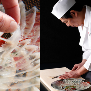 【お届け指定日必須】 熟成 とらふぐ 刺し 2～3人前 冷蔵 ふぐ NE