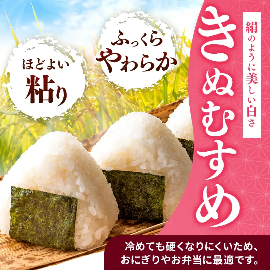 令和7年産 上郡町からのお米食べ比べセット きぬむすめ5kg・ヒノヒカリ5kg | お米 きぬむすめ ヒノヒカリ 食べ比べ 兵庫県 上郡町