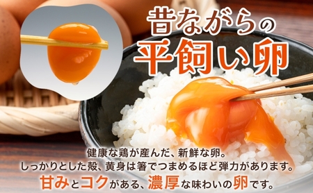 埼玉県蓮田市 平飼い卵 50個入 Mサイズ 玉子 新鮮 濃厚 コク 卵黄 鶏卵 タマゴ ギフト 卵セット 贈り物 プレゼント 食品 食材 朝ごはん 家族 団らん 朝食 昼食 ランチ 贅沢 お弁当