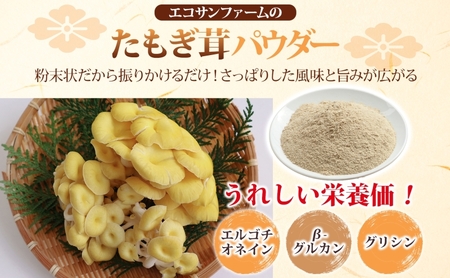 たもぎ茸パウダー 50g×2 計100g 小分け 出汁 粉末 スープ 食物繊維 国産 お取り寄せ グルメ こだわり 簡単調理 きのこ たもぎ茸 旨味 風味 ヘルシー 和洋中 加熱不要 送料無料 埼玉県 蓮田市