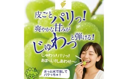 【 先行予約 】 訳あり 木熟ぶどう ハレノシャイン シャインマスカット 2房 約1.2kg マスカット ぶどう ブドウ 葡萄 果物 くだもの フルーツ 【2026年10月上旬～11月上旬発送予定】
