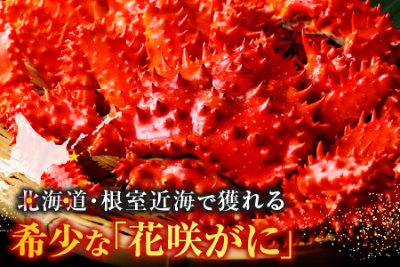 【北海道根室産】花咲がに甲羅詰め5個 B-54003