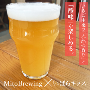 【ジャパン・グレートビア・アワーズ2026 銀賞受賞】【数量限定】【ぬりや】クラフトビール 酔いちご（2025BY）330ml5本セット(GW-14)