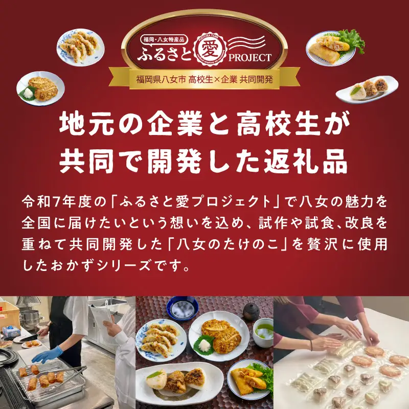たけのこハンバーグ6個セット 惣菜 弁当 夕食 おかず たけのこ 筍 ハンバーグ ジューシー 焼くだけ 簡単 小分け 食べきり 福岡県 八女市 113-003