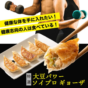 大豆パワー ソイプロギョーザ 90個(30個入×3袋)