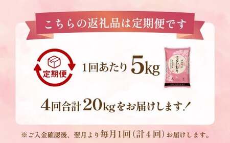 【1ヶ月毎4回定期便】 はるかおり 5kg 計20kg ／ 米 コメ お米 ライス ご飯 ごはん 飯 食品 精米 定期便 常温 福岡県 香春町