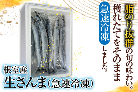 【北海道根室産】冷凍さんま30尾セット B-70005