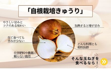 玉ねぎ 10kg / 玉ねぎ