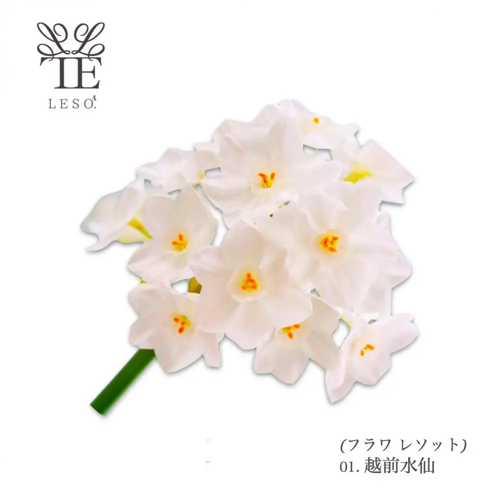 本物の花の香り リード・ディフューザー【水仙】 