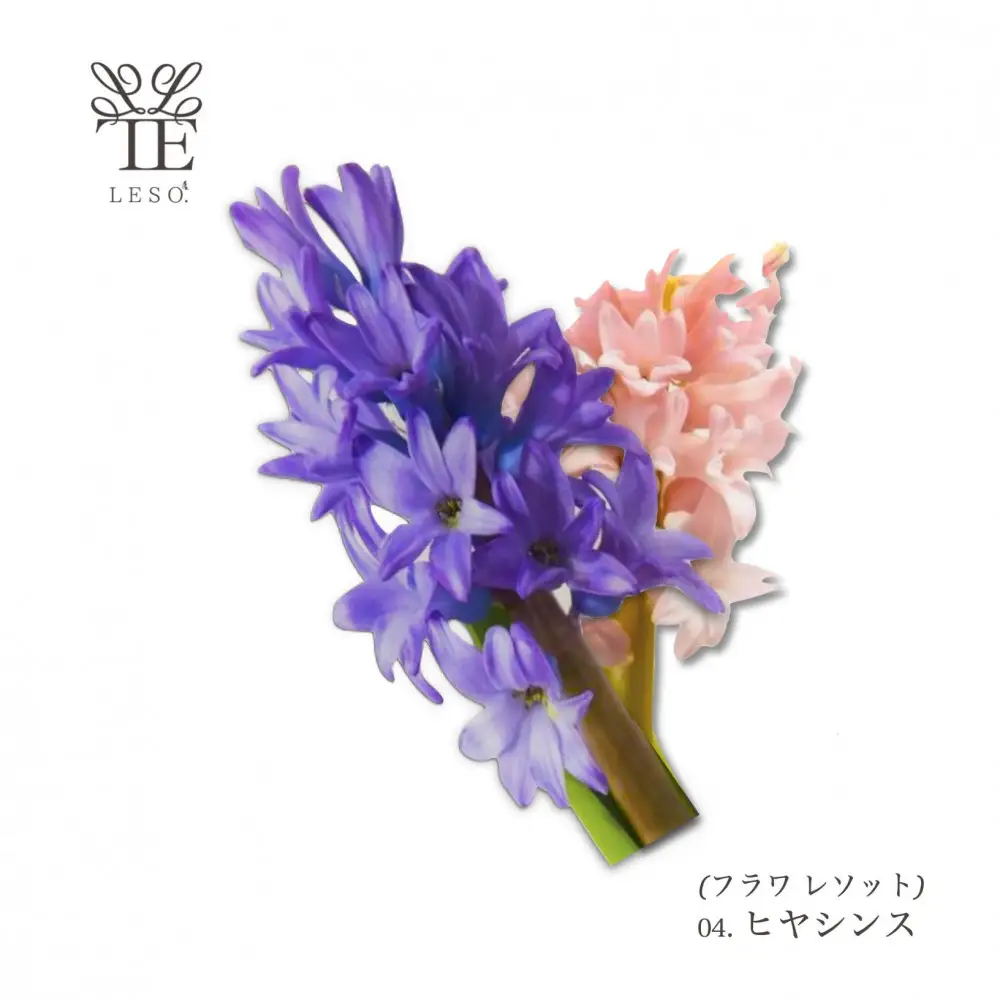 本物の花の香り リード・ディフューザー【ヒヤシンス】