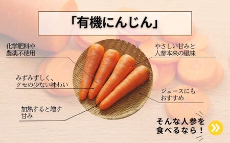 人参 2kg 人参