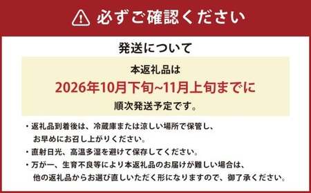 熊本県産太秋柿 約3kg（12玉）【2026年10月下旬発送開始】 熊本県産 国産 太秋柿 柿 かき カキ おやつ 果物 果実 フルーツ 3kg 12玉