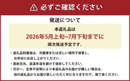 熊本県産肥後グリーンメロン 2玉（約2kg）【2026年5月上旬発送開始】 熊本県産 国産 肥後グリーンメロン 肥後 グリーン メロン おやつ 果物 果実 フルーツ 2kg 2玉