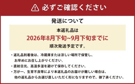 熊本県産シャインマスカット約1kg（3房）【2026年8月下旬発送開始】 熊本県産 国産 シャインマスカット シャイン マスカット ぶどう 葡萄 ブドウ おやつ 果物 果実 フルーツ 1kg 3房