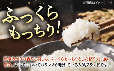 壱岐産米 こしひかり 5kg [JDW061] コシヒカリ 米