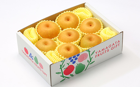 【先行予約（令和8年発送）】 山形県産 山形の和梨 3kg 品種おまかせ FSY-2799
