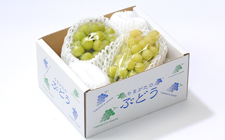 【先行予約（令和8年発送）】 山形県産 ご家庭用 訳ありシャインマスカット 1kg FSY-2802