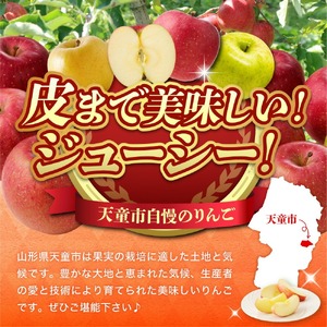 農家オススメ 旬の赤 りんご 5㎏ フルーツ 果物 山形 08-03-096