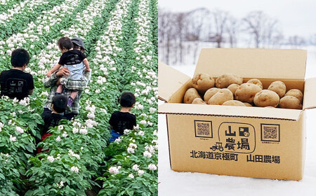 北海道産 じゃがいも 男爵 M～2Lサイズ混載 約20kg 1箱 山田農場 ジャガイモ 芋 いも イモ 国産 【2026年9月下旬-2027年1月上旬迄発送予定】