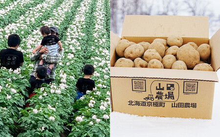北海道産 じゃがいも キタアカリ M～2Lサイズ混載 約20kg 1箱 山田農場 ジャガイモ 芋 いも イモ 国産 【2026年9月下旬-2027年1月上旬迄発送予定】